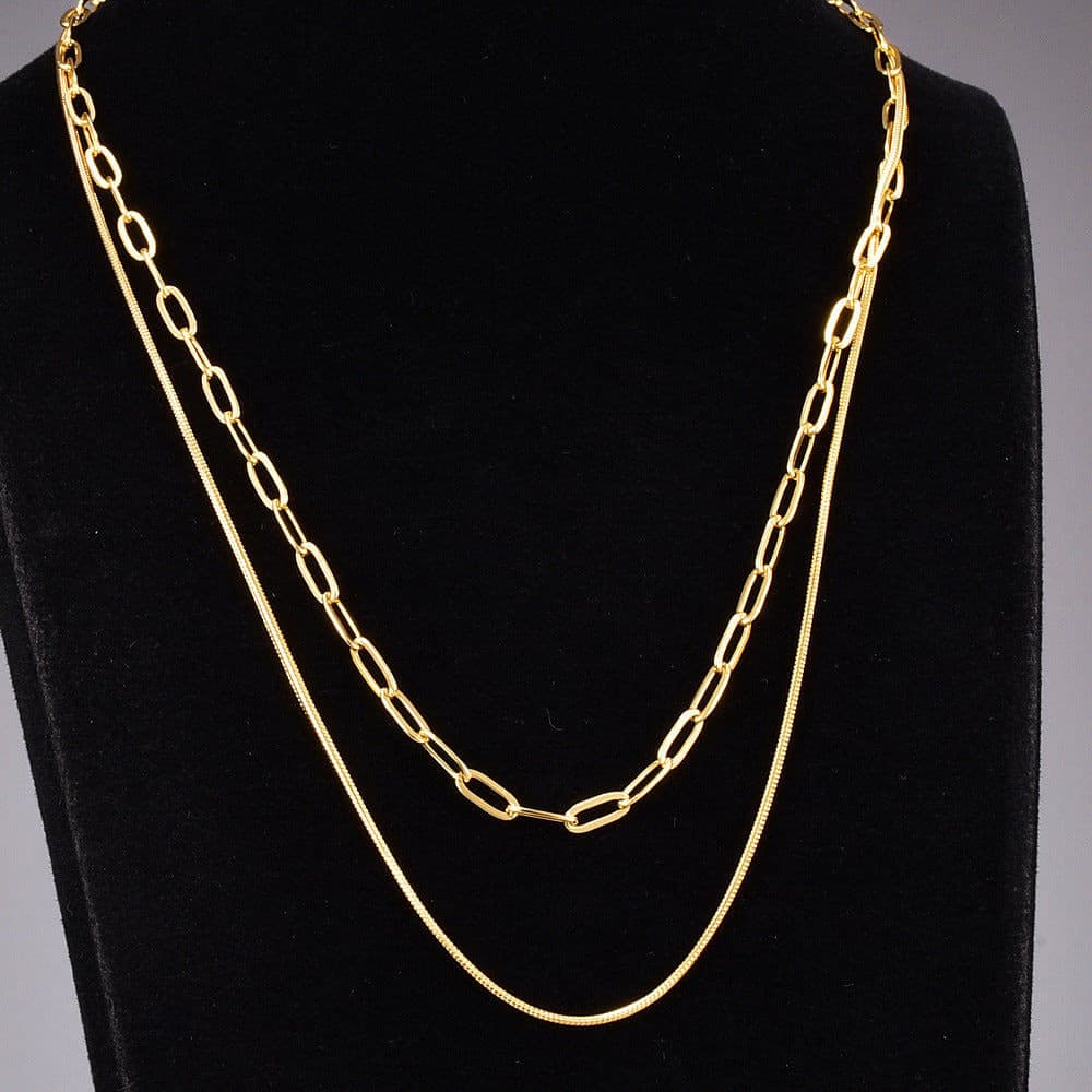 Double Layer Snake Necklace.